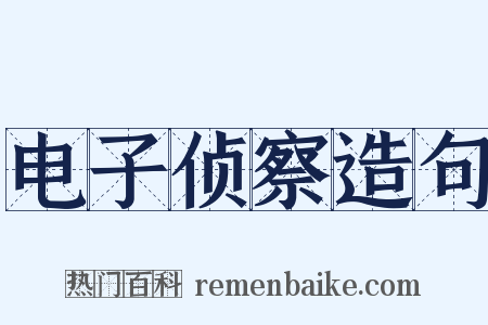 电子侦察造句是什么意思的图片